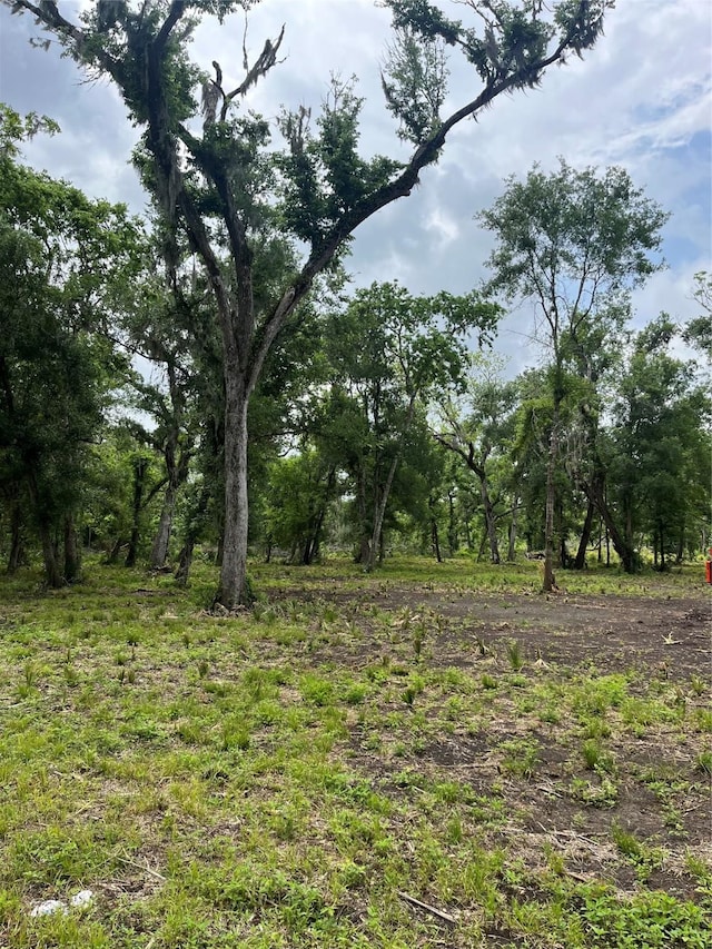 4227 County Road 347th Rd, Brazoria, TX 77422 - photo 1