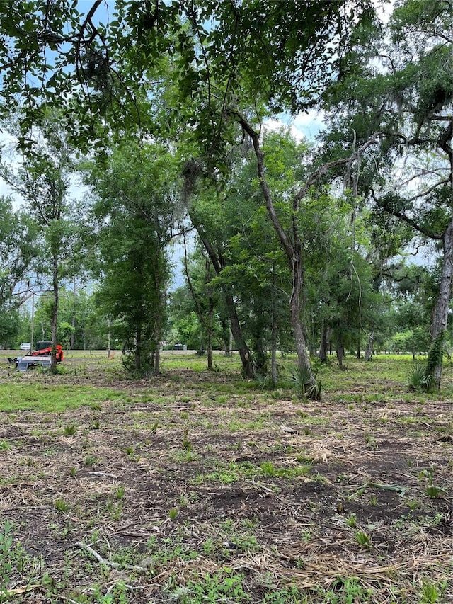 4227 County Road 347th Rd, Brazoria, TX 77422 - photo 2