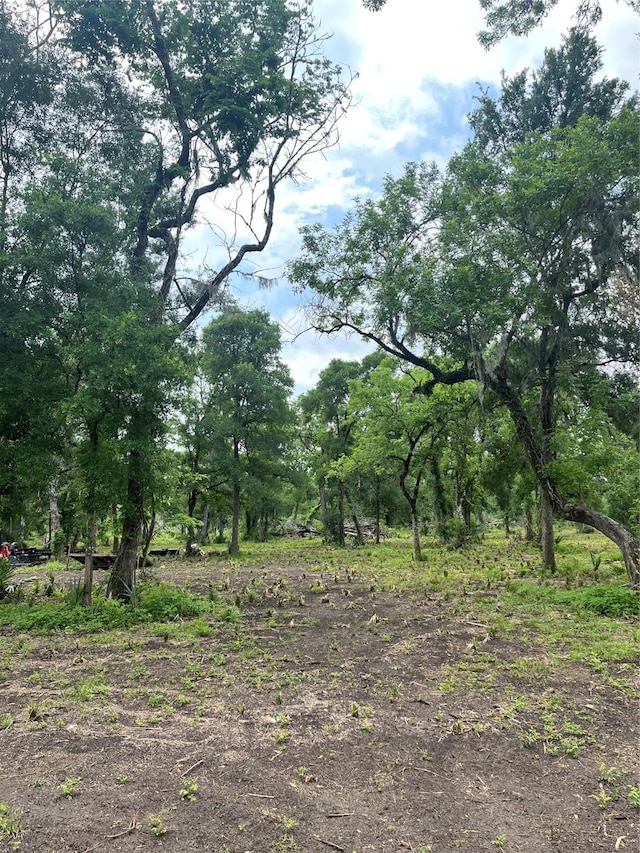 4227 County Road 347th Rd, Brazoria, TX 77422 - photo 4