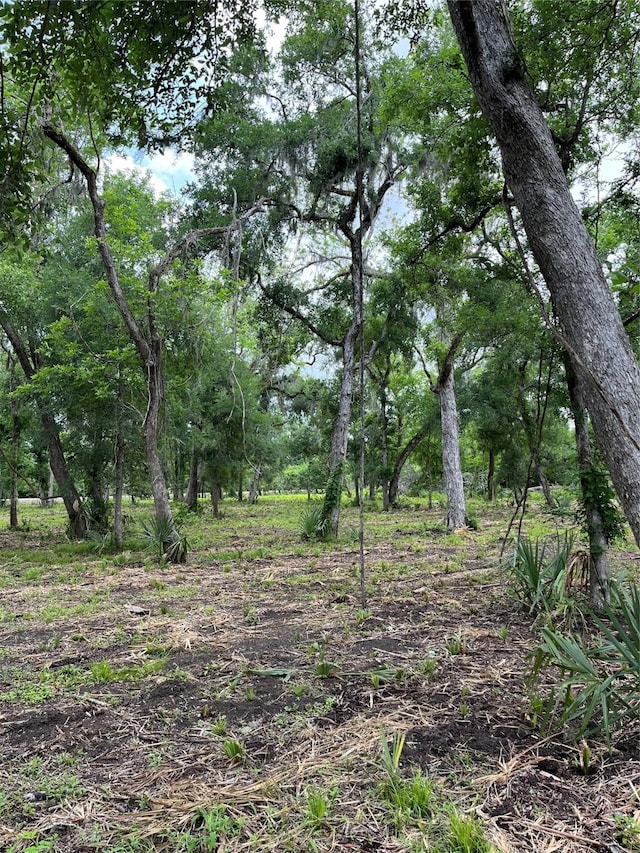 4227 County Road 347th Rd, Brazoria, TX 77422 - photo 13