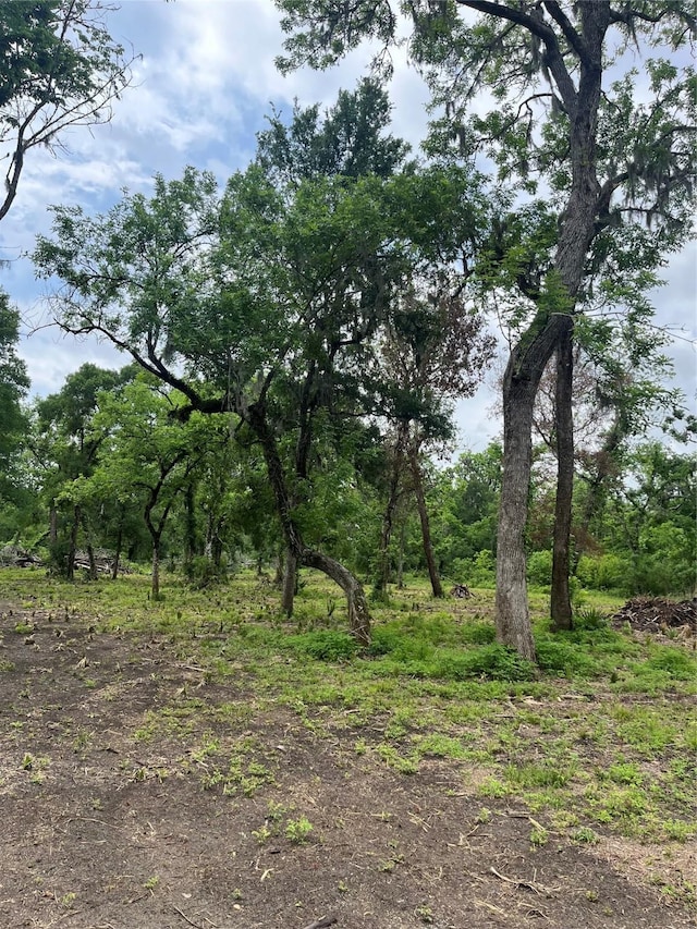 4227 County Road 347th Rd, Brazoria, TX 77422 - photo 14