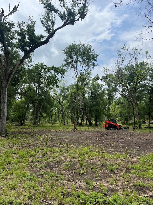 4227 County Road 347th Rd, Brazoria, TX 77422 - photo 15