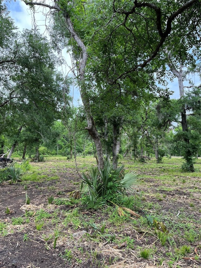 4227 County Road 347th Rd, Brazoria, TX 77422 - photo 16