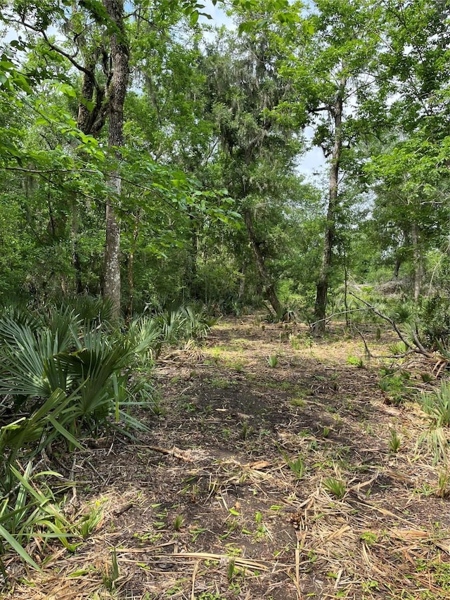 4227 County Road 347th Rd, Brazoria, TX 77422 - photo 17