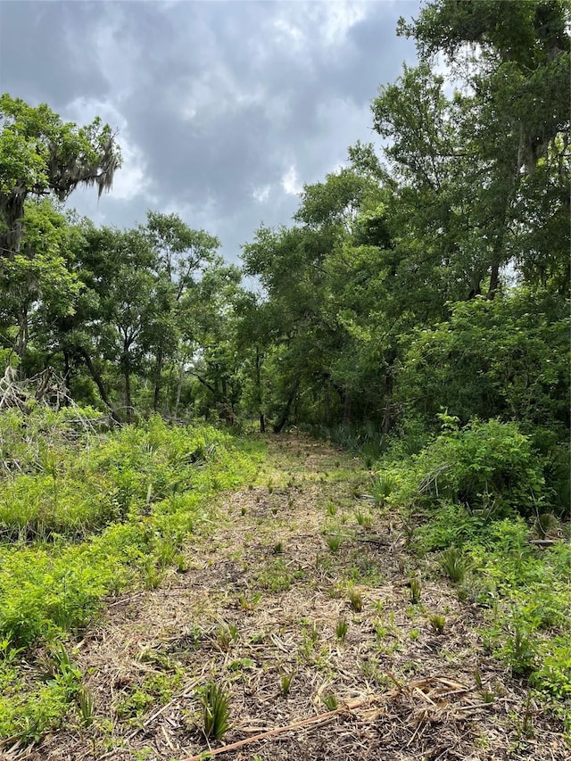 4227 County Road 347th Rd, Brazoria, TX 77422 - photo 18