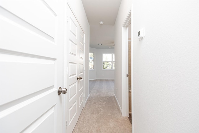 hallway featuring light colored carpet