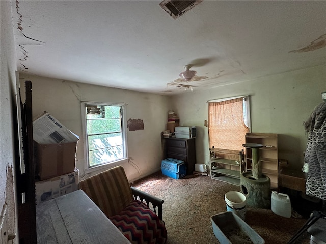 bedroom with ceiling fan and carpet floors