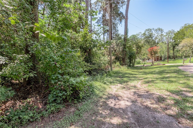 Listing photo 3 for LOT6 Evergreen Cir, Point Blank TX 77364