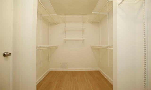 walk in closet with hardwood / wood-style flooring