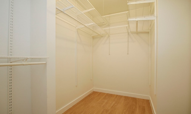 spacious closet with hardwood / wood-style flooring