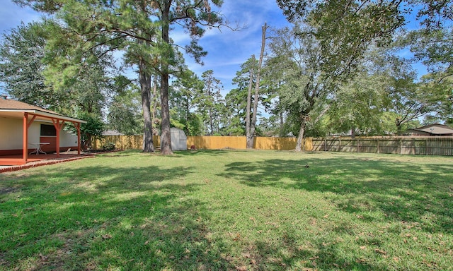 view of yard with a storage unit