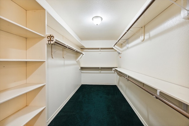 walk in closet featuring carpet