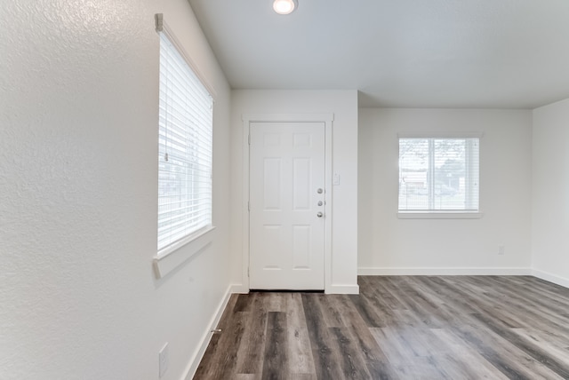 entrance foyer with hardwood / wood-style floors