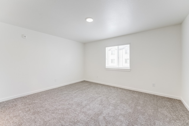 spare room with carpet