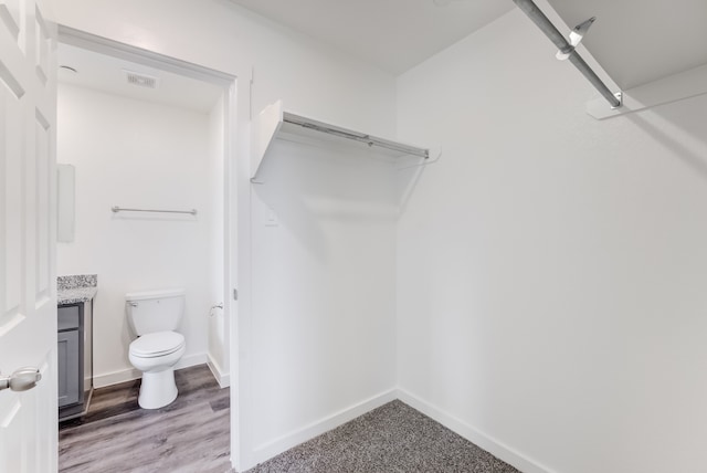 spacious closet featuring wood-type flooring