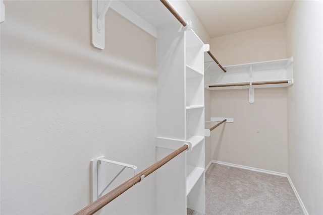 spacious closet with light colored carpet