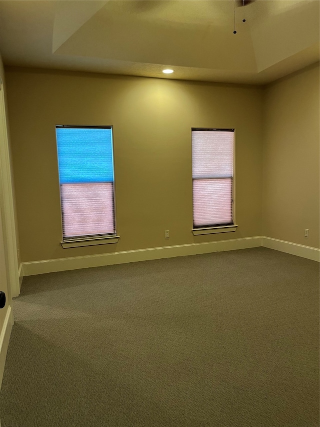 unfurnished room with carpet flooring