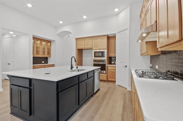 kitchen with light wood-type flooring, tasteful backsplash, stainless steel appliances, sink, and an island with sink