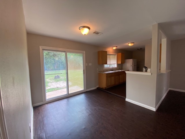 kitchen with sink, dark hardwood / wood-style floors, and white fridge