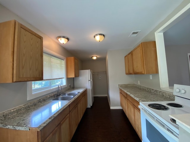 kitchen with dark hardwood / wood-style flooring, sink, and white appliances