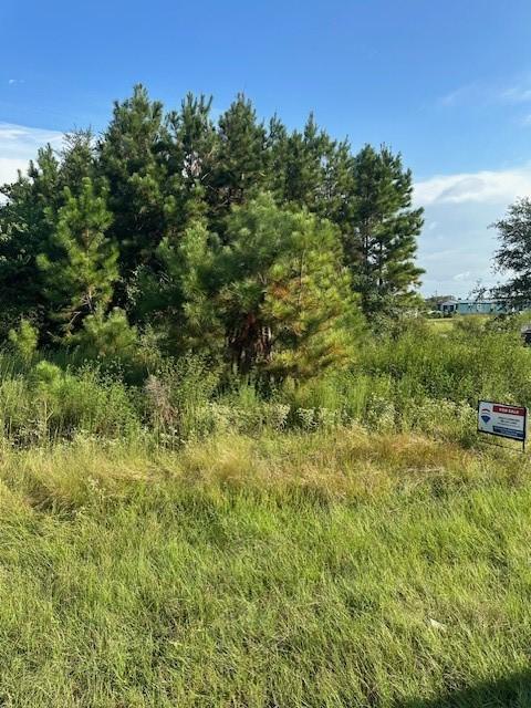 642 County Road 5015, Cleveland, TX 77327