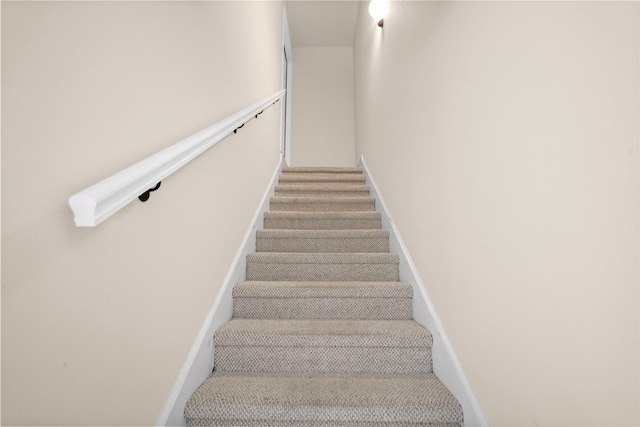 stairway featuring carpet