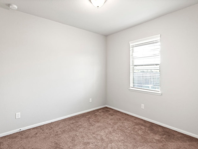 unfurnished room with carpet flooring