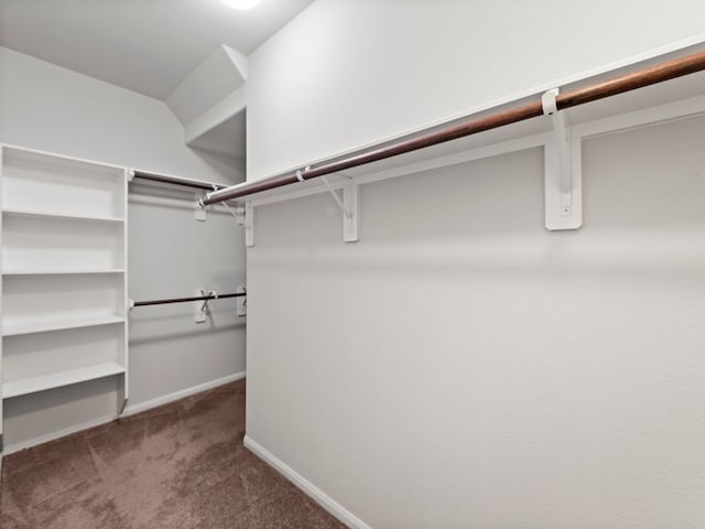 walk in closet with dark carpet