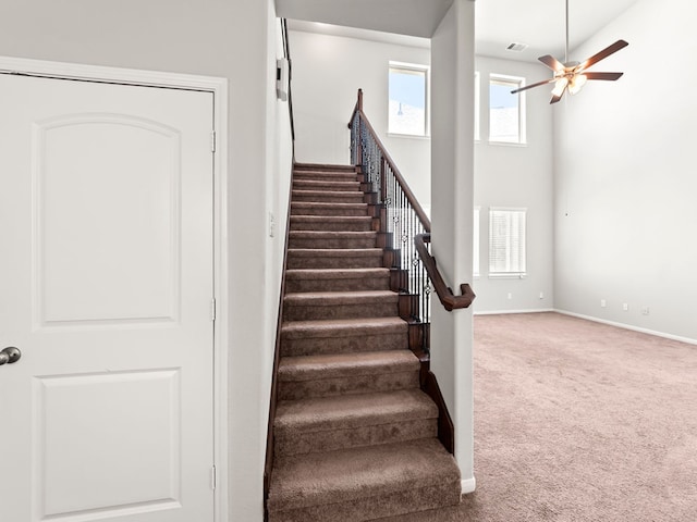 staircase featuring ceiling fan and carpet floors