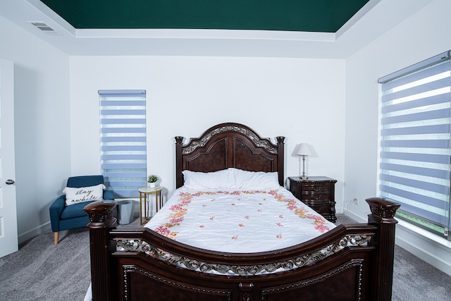 carpeted bedroom featuring a raised ceiling