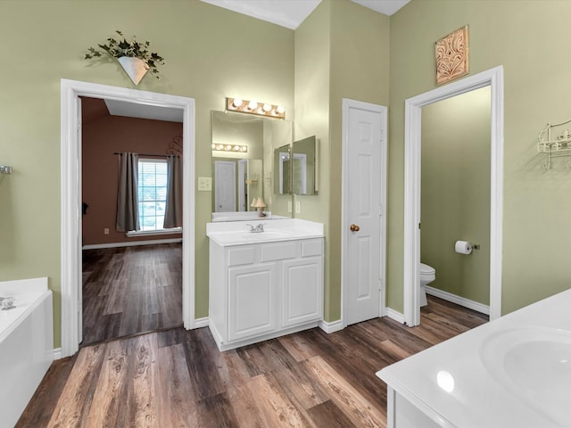 bathroom with vanity, toilet, and wood-type flooring