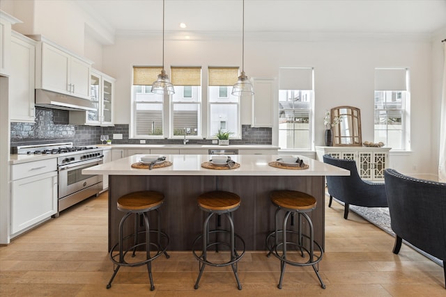 kitchen with white cabinets, high end stainless steel range oven, and a healthy amount of sunlight