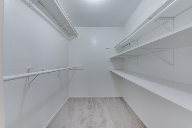 walk in closet with light colored carpet