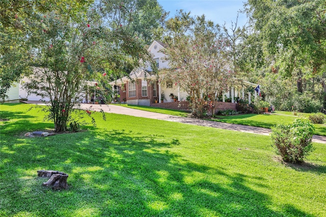 view of front of house with a front lawn