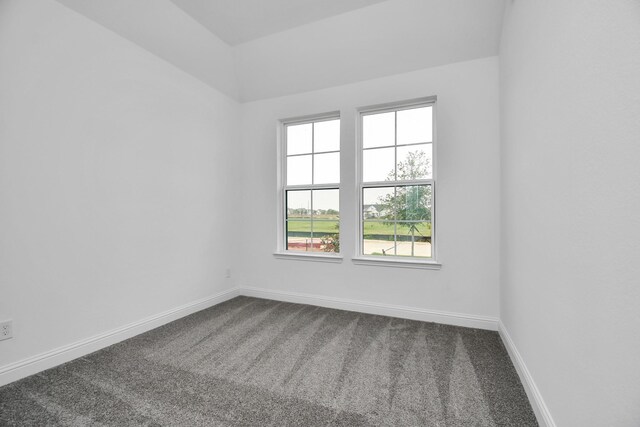 spare room featuring carpet flooring