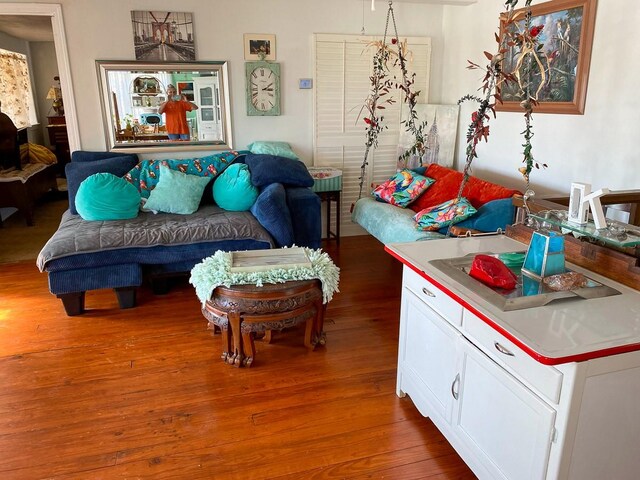 living room featuring hardwood / wood-style floors