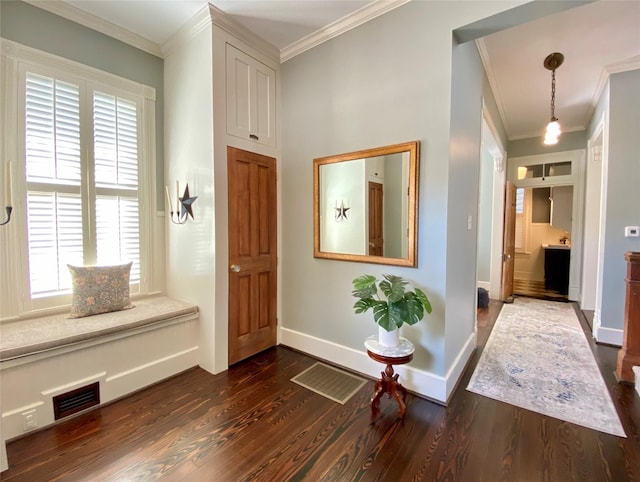 interior space featuring crown molding, visible vents, baseboards, and dark wood-style floors