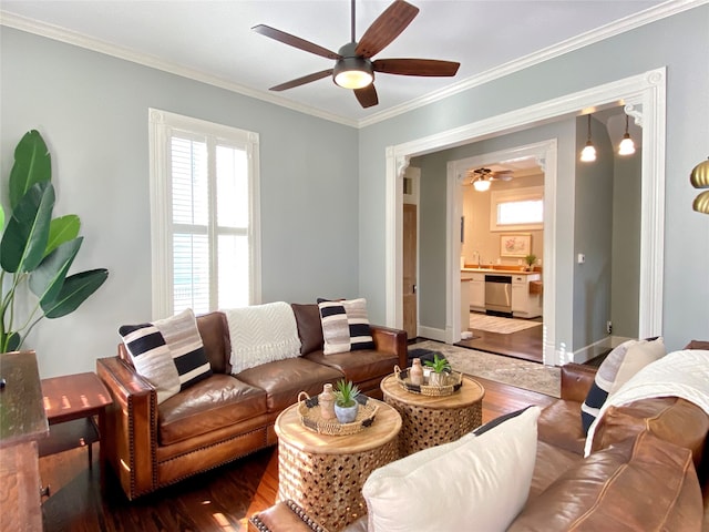 living room with crown molding, dark wood-type flooring, ceiling fan, and sink