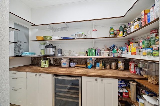 pantry with beverage cooler