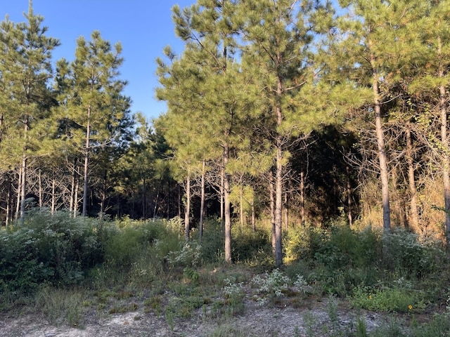 Listing photo 2 for TBD(Lot55) County Road 1060, Center TX 75935