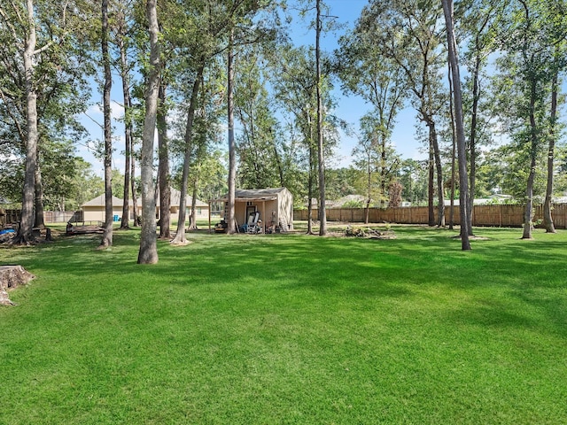 view of yard with a storage shed