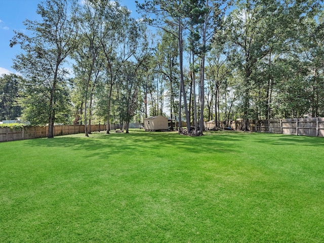 view of yard featuring a storage unit