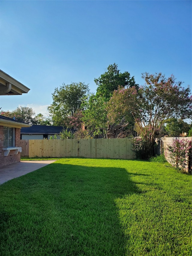 view of yard with a patio area