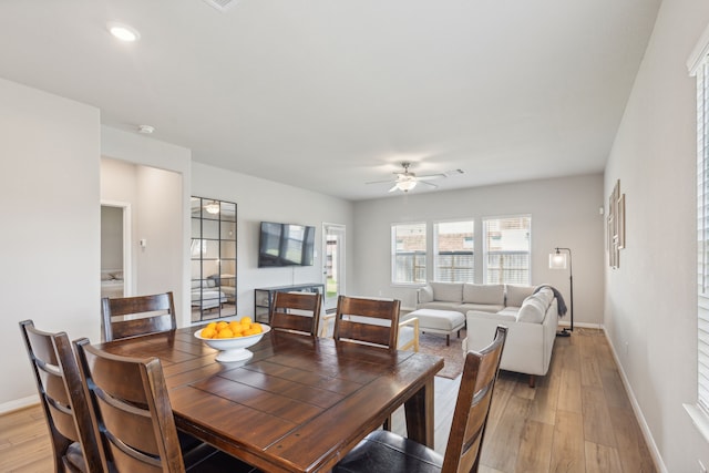 dining area with ceiling fan and light hardwood / wood-style flooring