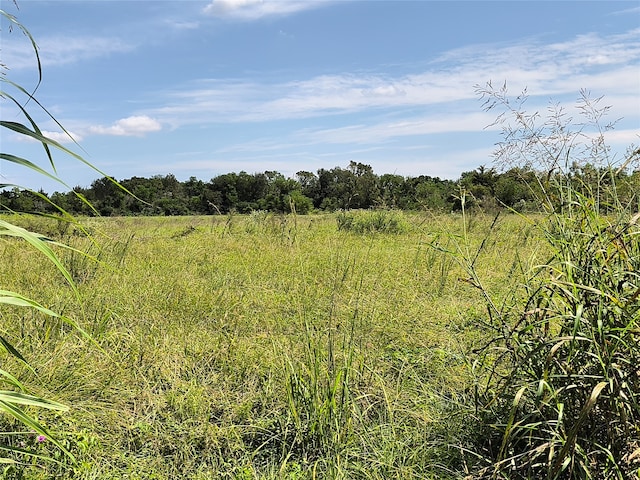 Listing photo 3 for TBD Cochran Rd, Hempstead TX 77445