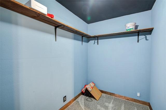 walk in closet featuring carpet floors