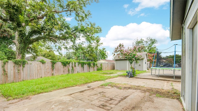 view of yard featuring a storage unit, a trampoline, and a patio