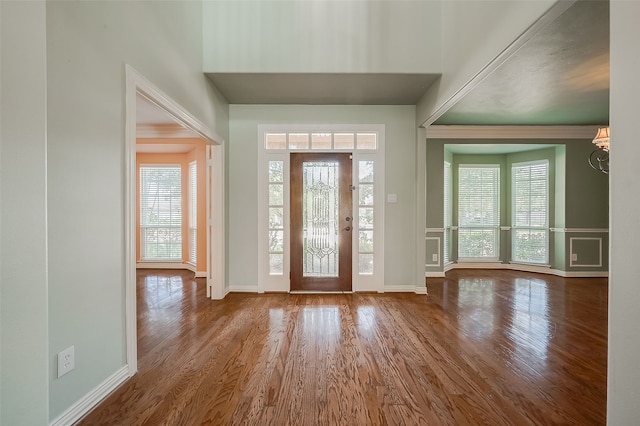 foyer entrance with hardwood / wood-style floors and a healthy amount of sunlight