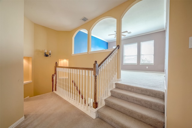 stairs featuring carpet