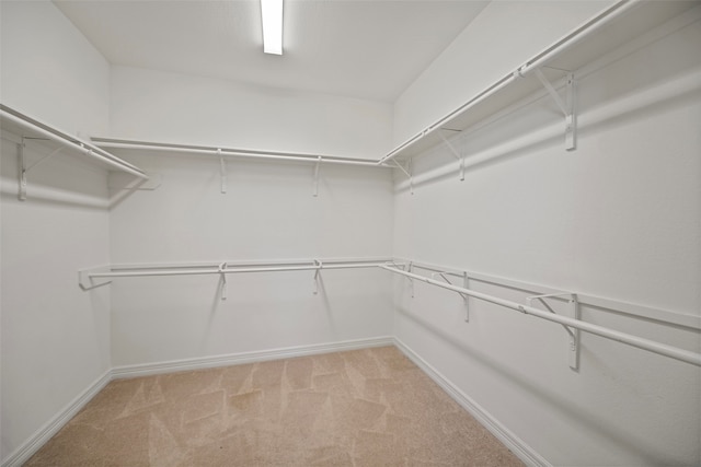 spacious closet with light carpet